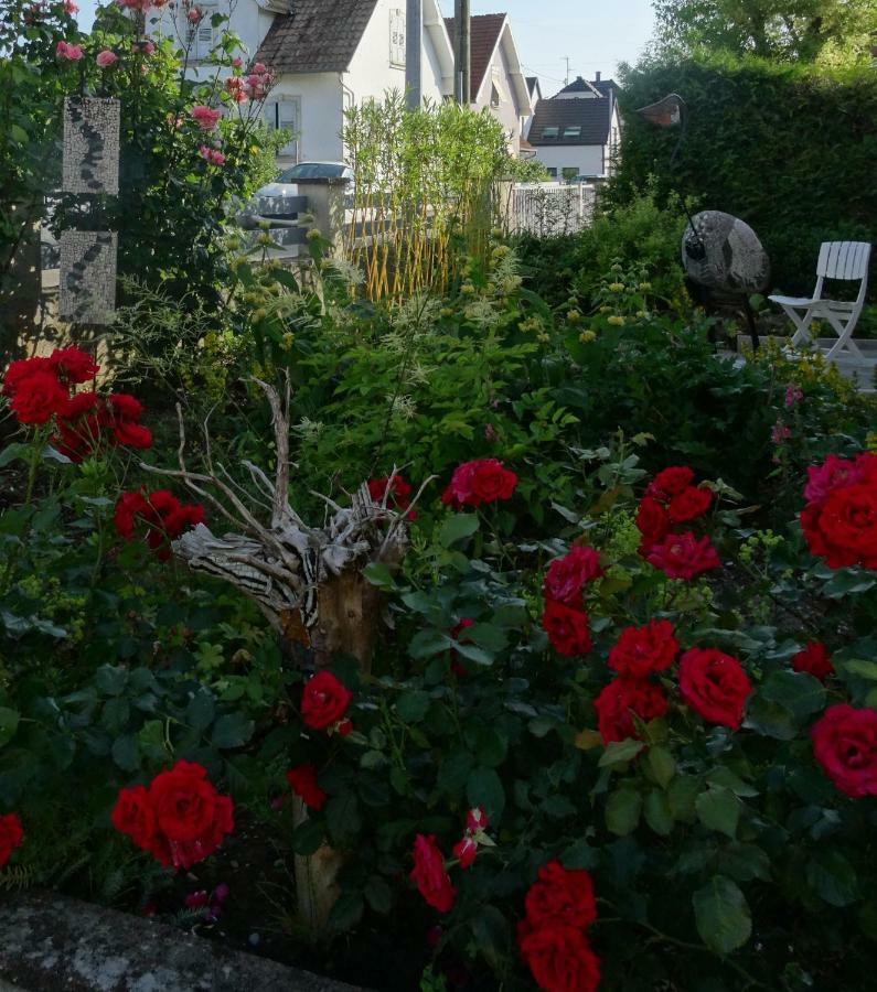 Gite Du Heron La Wantzenau Exterior foto