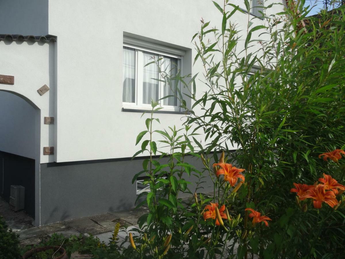 Gite Du Heron La Wantzenau Exterior foto